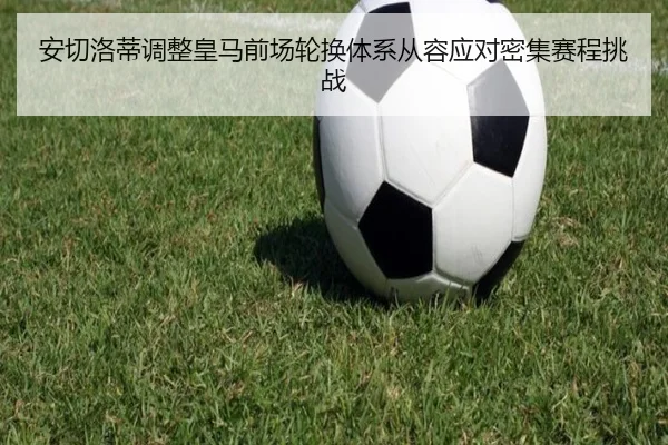 img_1782406763566_352_0_484.jpg